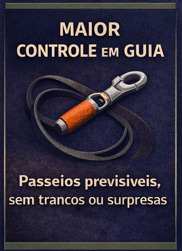 RESULTADOS CONTROLE.png
