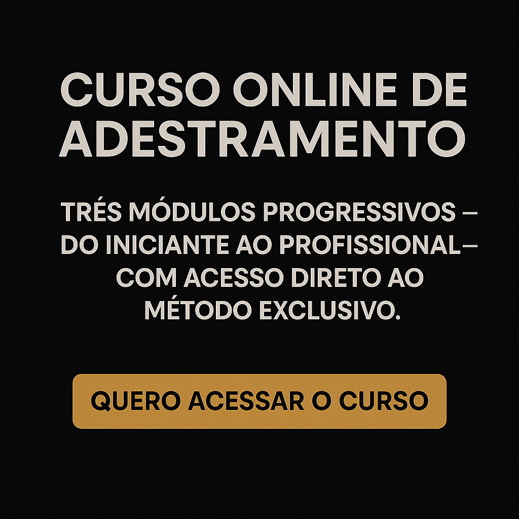 Curso Online em Curitiba e no Brasil