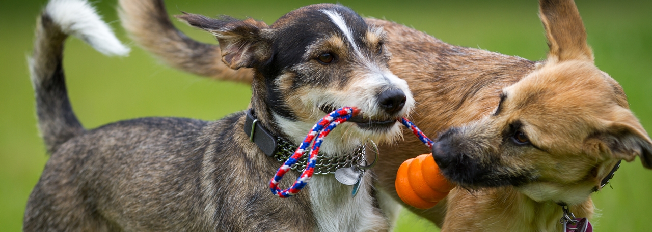 Atendimento premium e exclusivo