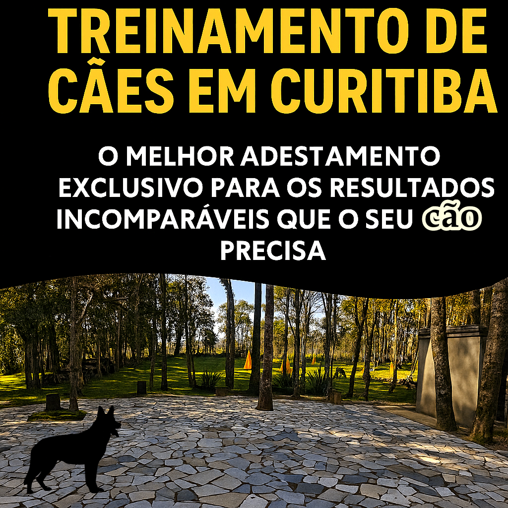 ChatGPT Image 7 de set. de 2025, 17_00_20.png