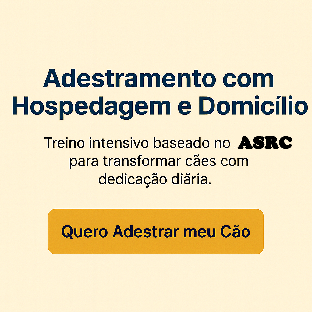 Adestramento em Curitiba com Aguinaldo Diniz, especialista em cães e comportamento canino.