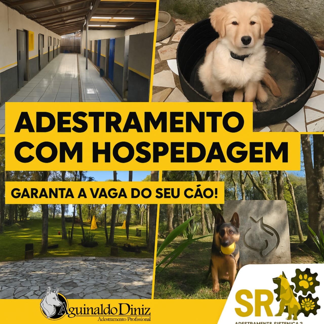 WhatsApp Image 2025-09-07 at 16.36.02 (2).jpeg