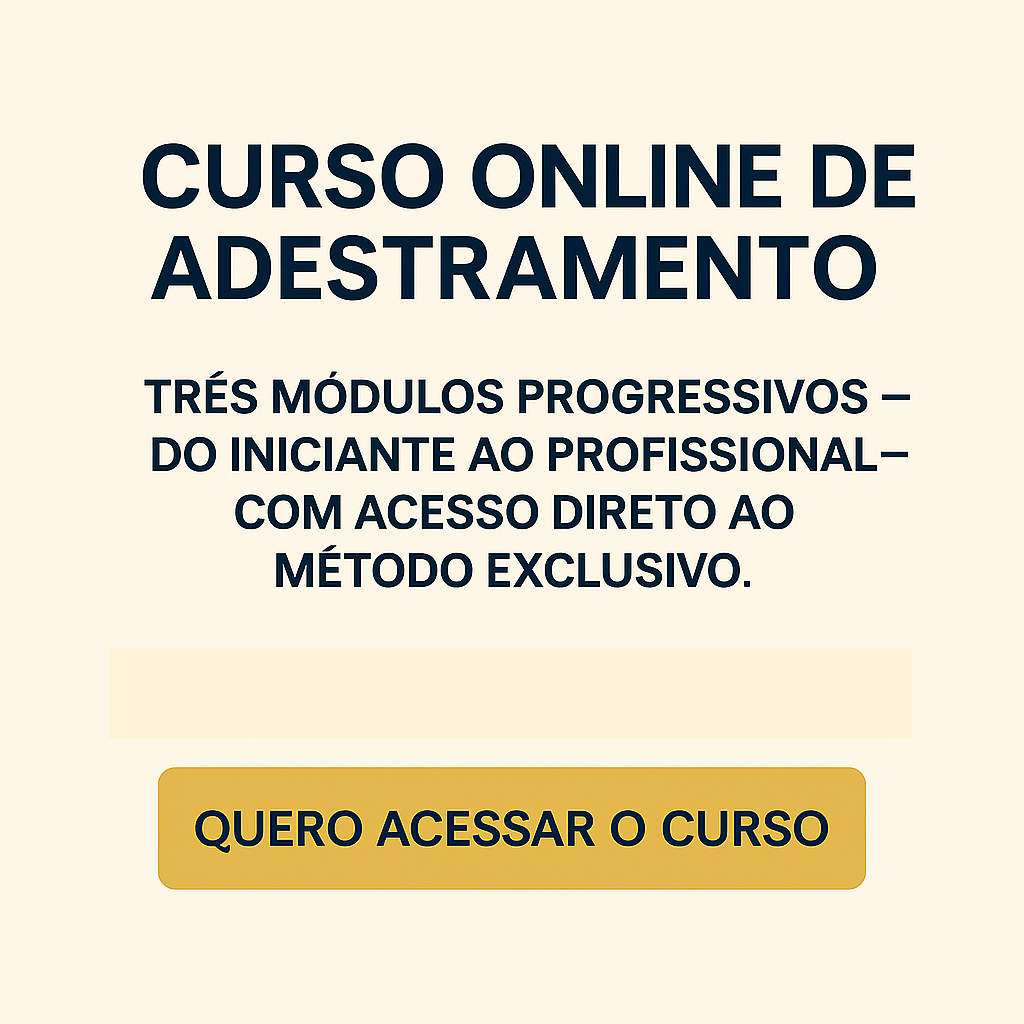 Curso Online em Curitiba
