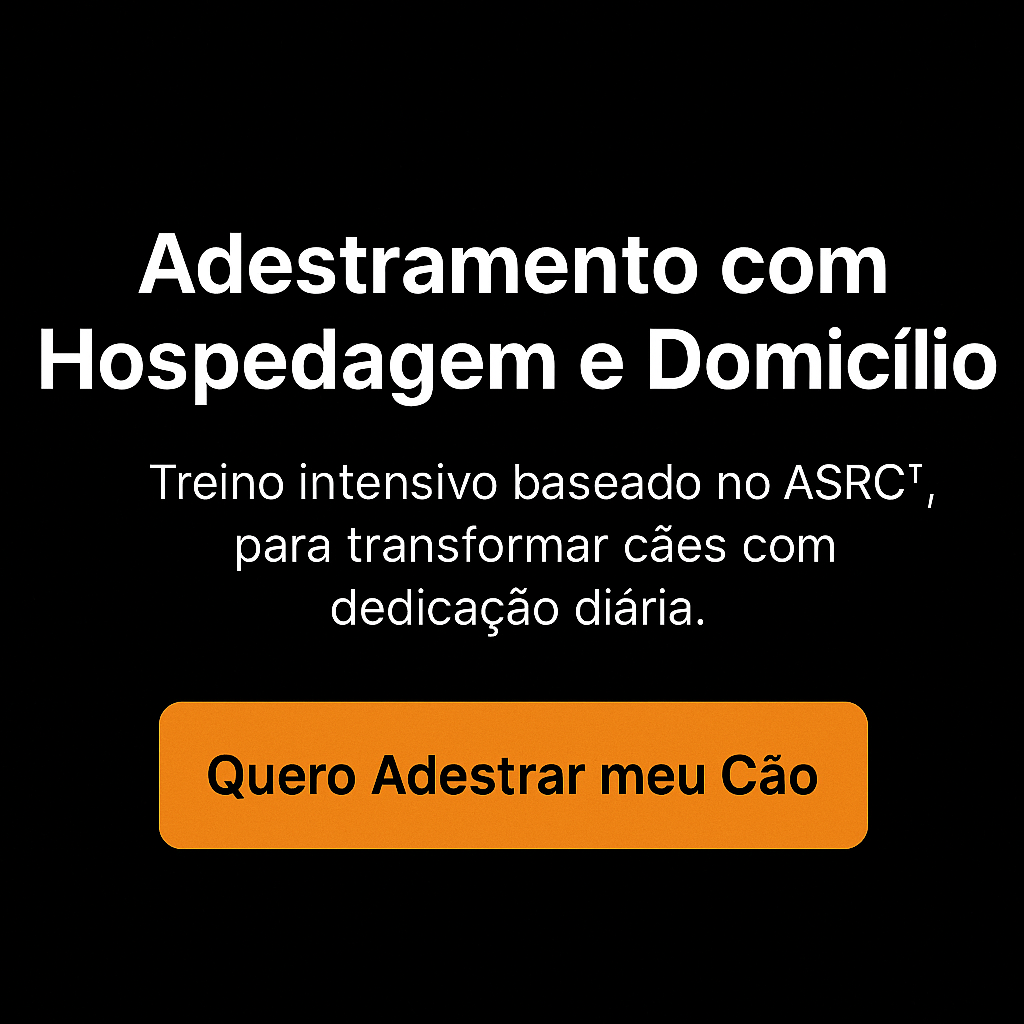 Adestramento Profissional para cães em Curitiba
