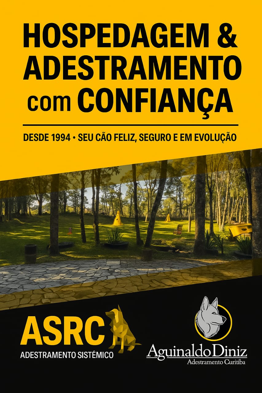 WhatsApp Image 2025-09-07 at 16.36.02 (1).jpeg