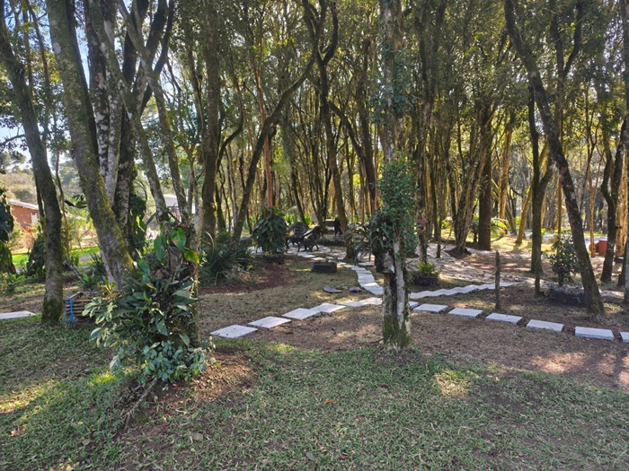 WhatsApp Image 2025-09-07 at 16.36.02 (4).jpeg