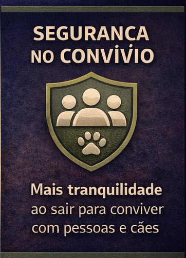 RESULTADOS SEGURANÇA.png