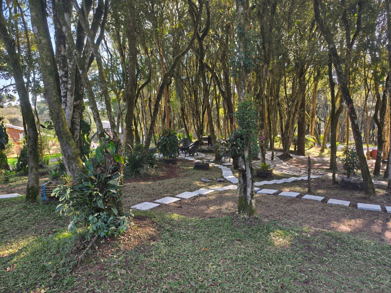 WhatsApp Image 2025-09-07 at 16.36.02 (4).jpeg