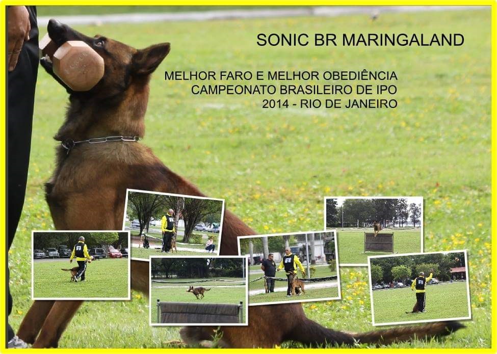 adestramento curitba_campeõesmundiais.jpg