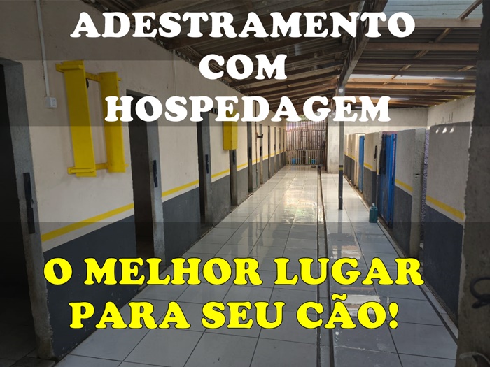 WhatsApp Image 2025-09-07 at 16.36.03 (2).jpeg